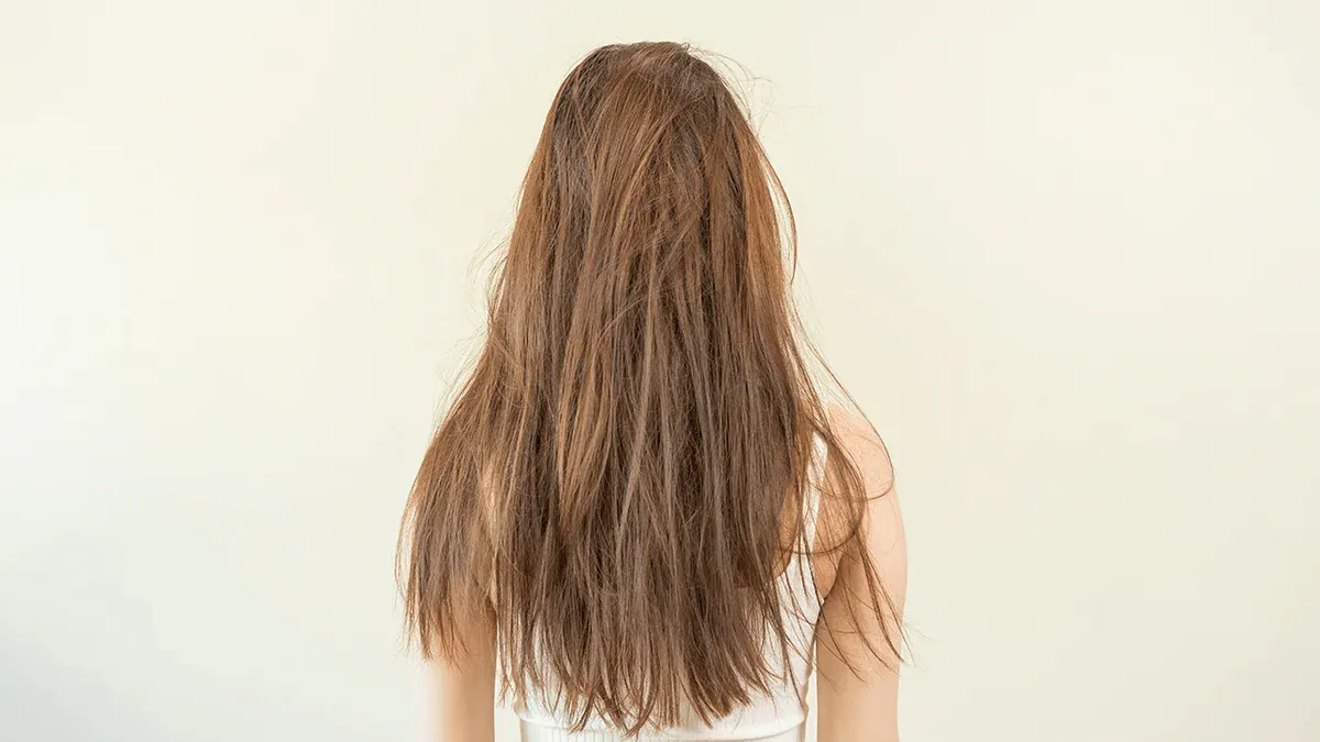 O que é frizz?